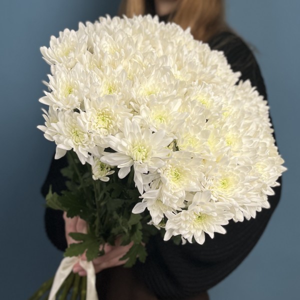 Хризантема кустовая белая