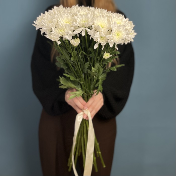 Хризантема кустовая белая