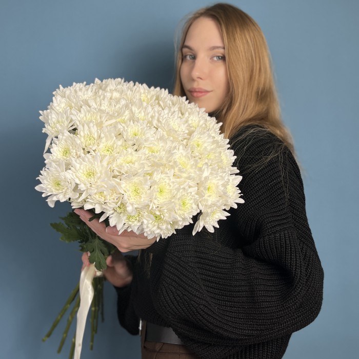 Хризантема кустовая белая