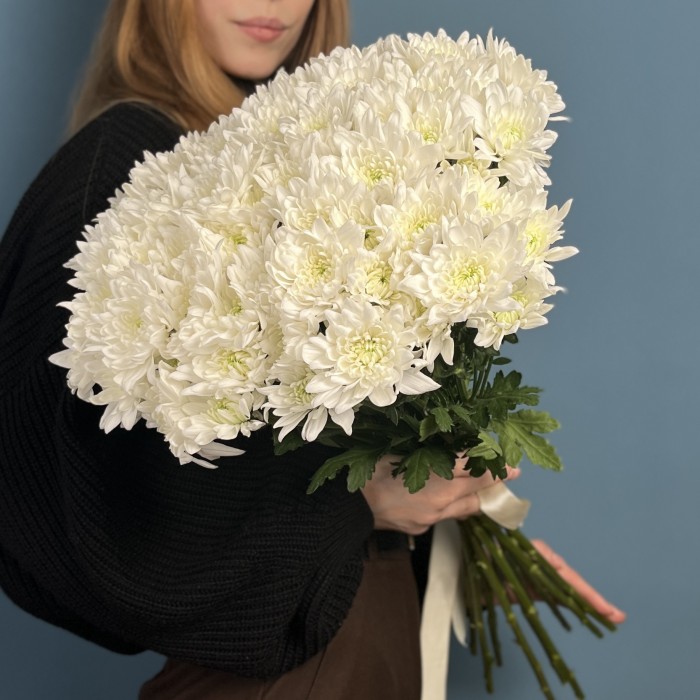 Хризантема кустовая белая