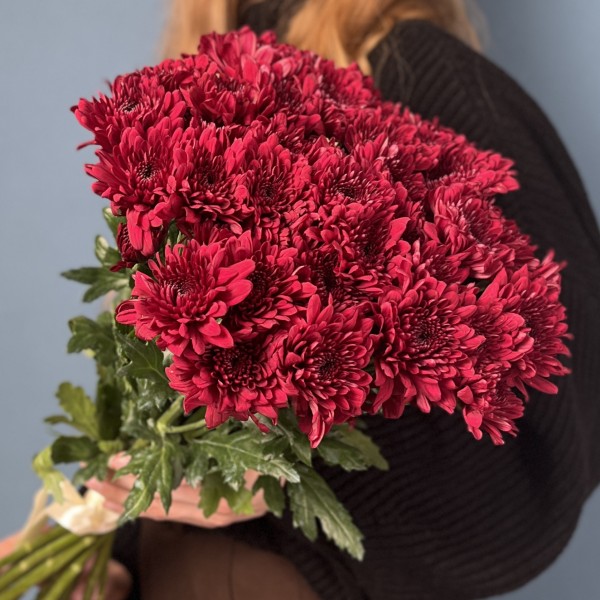 Хризантема кустовая красная