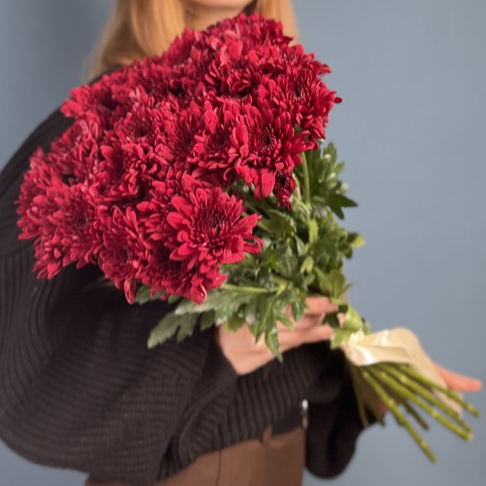 Хризантема кустовая красная