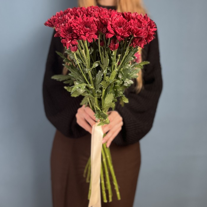 Хризантема кустовая красная