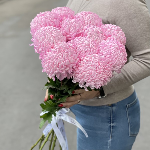 Хризантема розовая