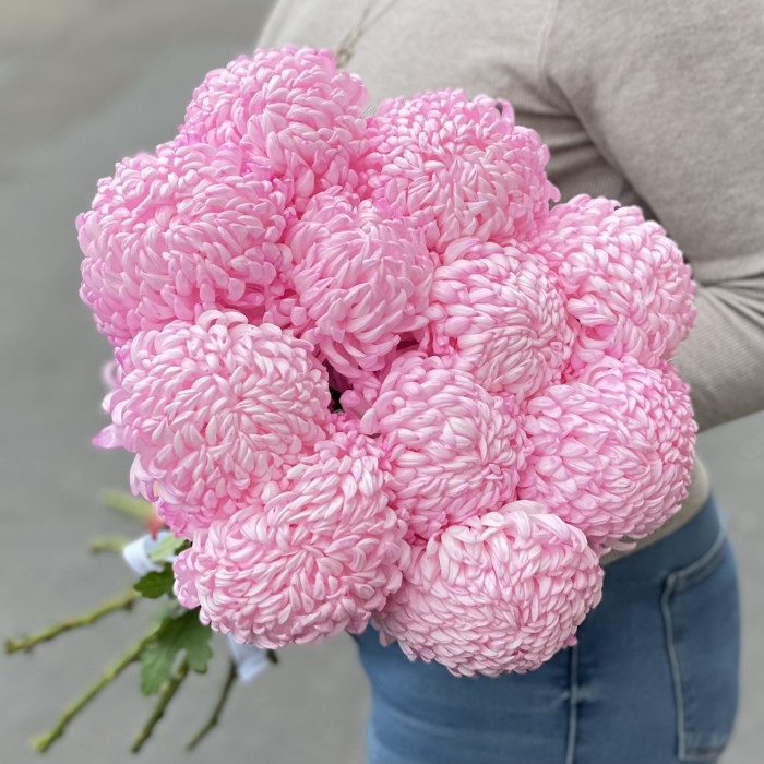 Хризантема розовая