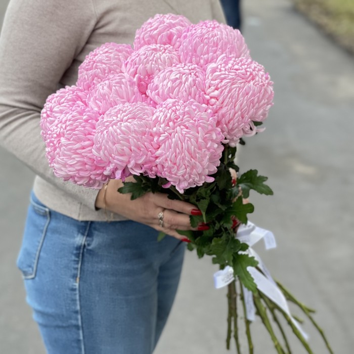 Хризантема розовая