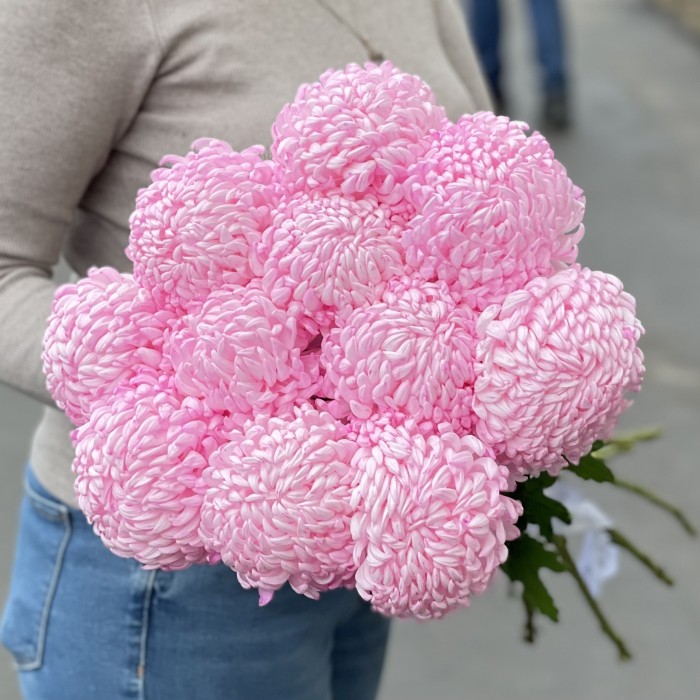 Хризантема розовая