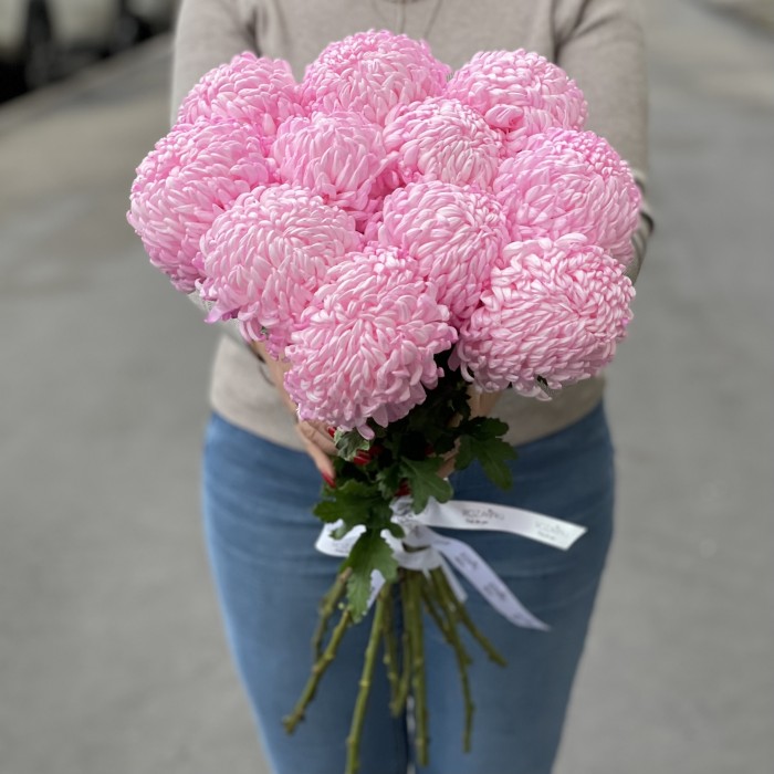 Хризантема розовая