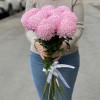 Хризантема розовая