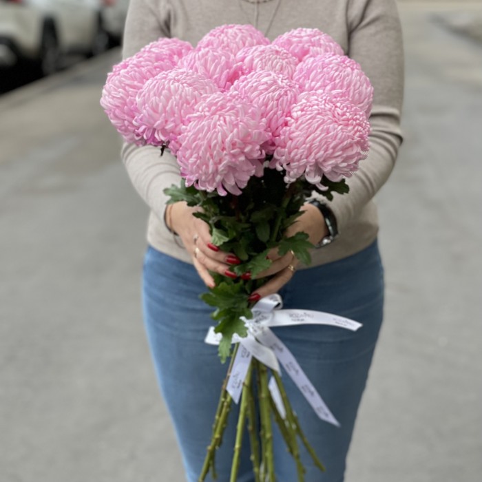 Хризантема розовая