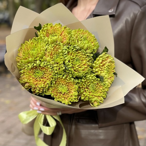 Букет из 9 зелено-оранжевых хризантем  Россано Элизабет