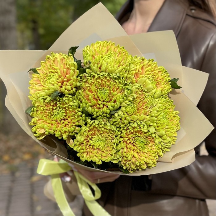 Букет из 9 зелено-оранжевых хризантем  Россано Элизабет