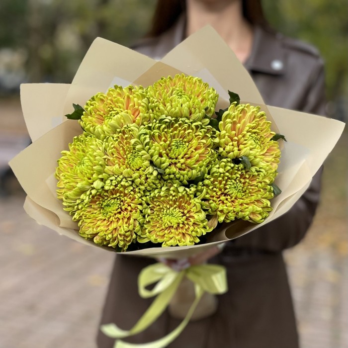 Букет из 9 зелено-оранжевых хризантем  Россано Элизабет