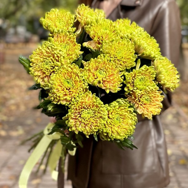 Хризантема  зелено-оранжевая Россано Элизабет