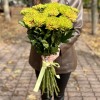 Хризантема  зелено-оранжевая Россано Элизабет