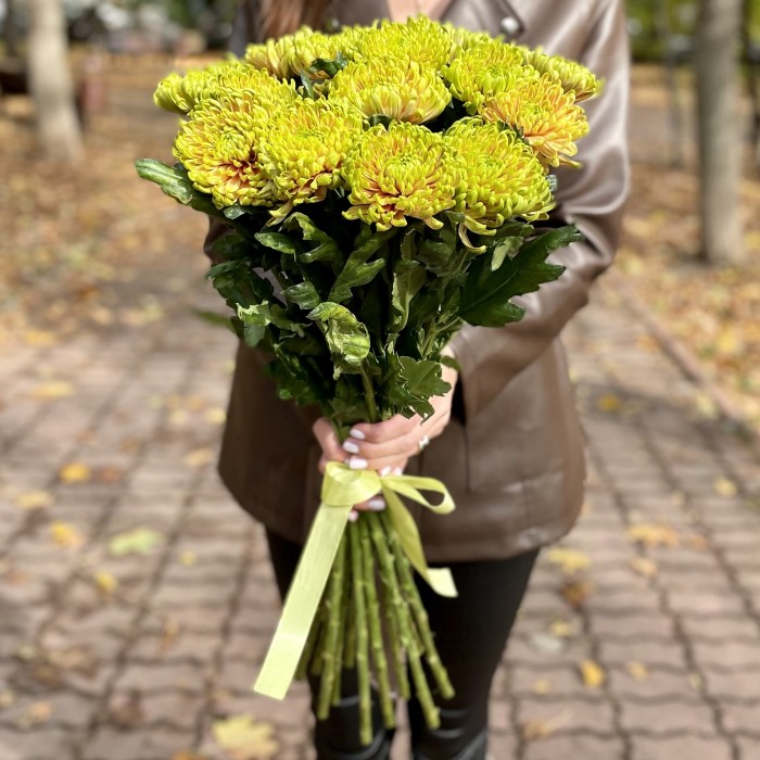 Хризантема  зелено-оранжевая Россано Элизабет