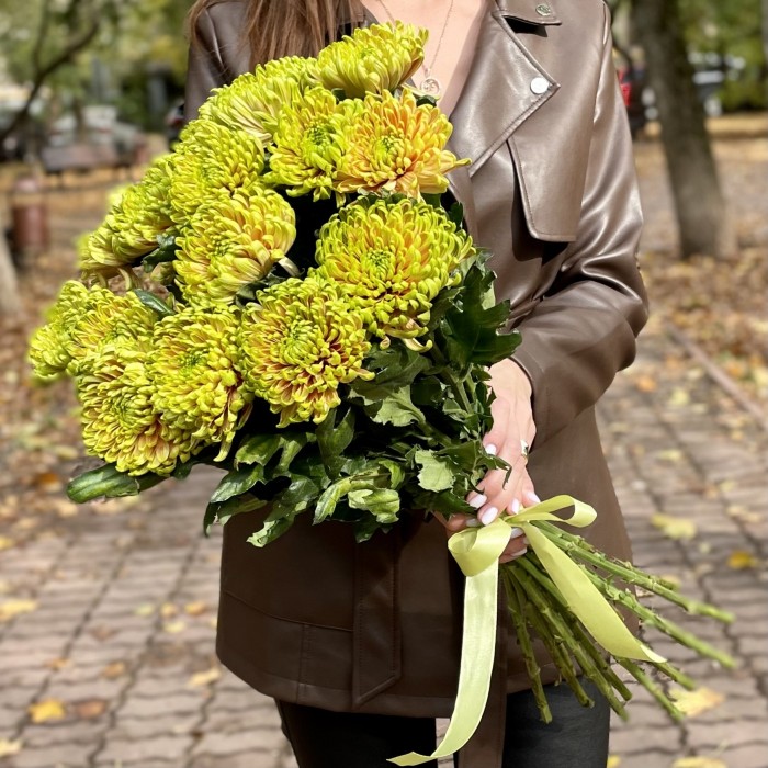 Хризантема  зелено-оранжевая Россано Элизабет