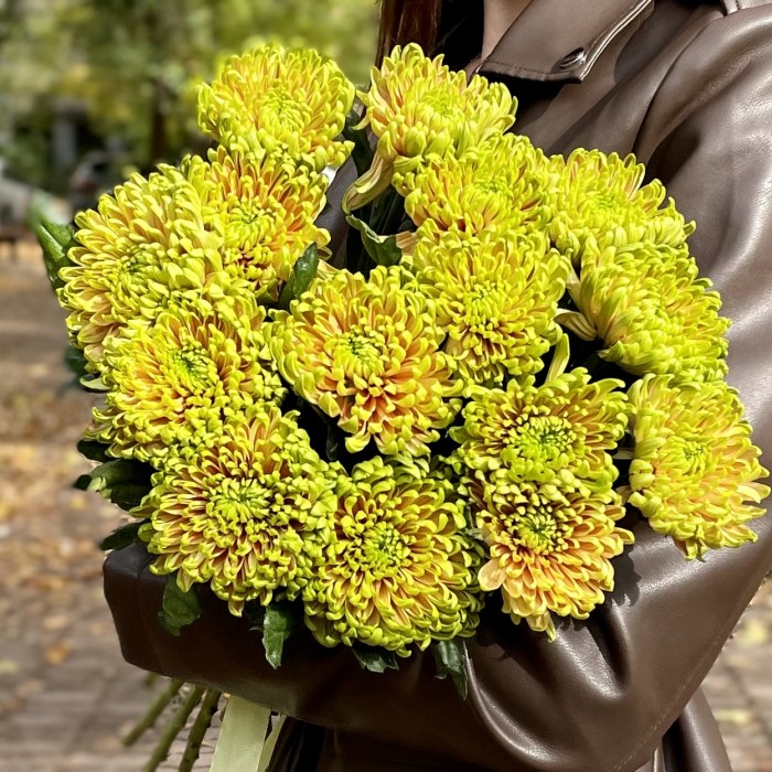 Хризантема  зелено-оранжевая Россано Элизабет