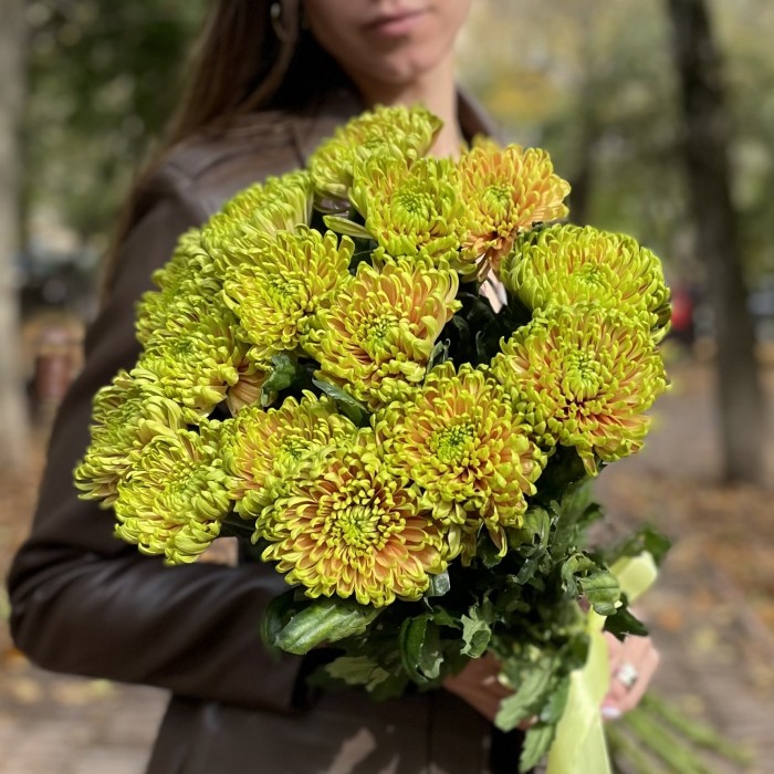 Хризантема  зелено-оранжевая Россано Элизабет
