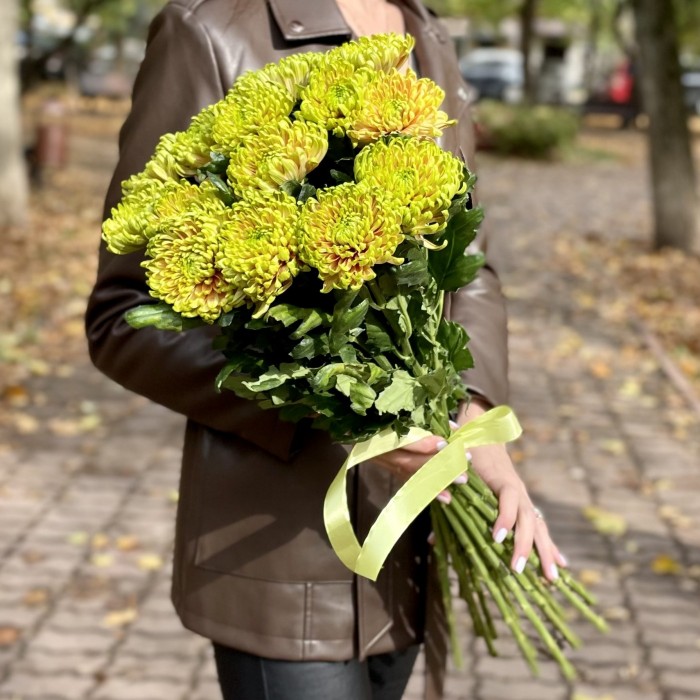 Хризантема  зелено-оранжевая Россано Элизабет