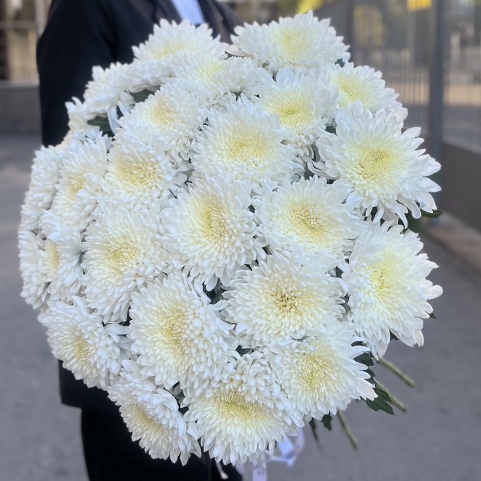 Хризантема белая Магнум