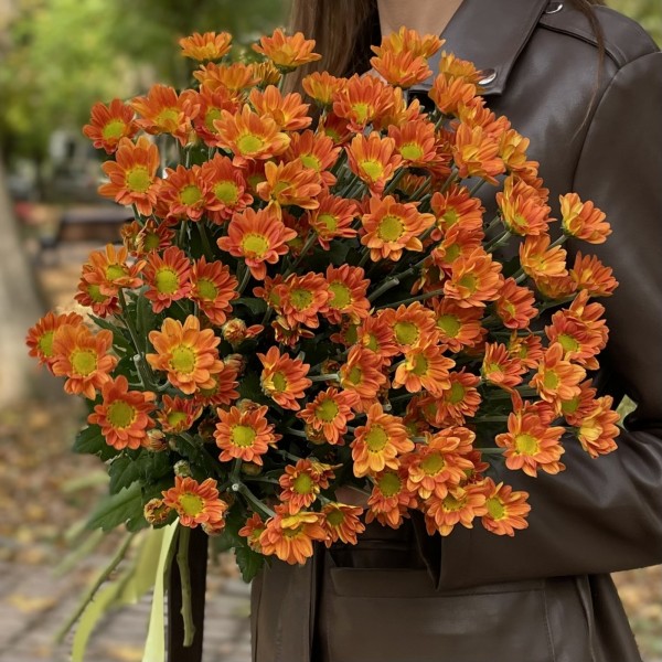 Хризантема кустовая оранжевая Спейс Эйдж