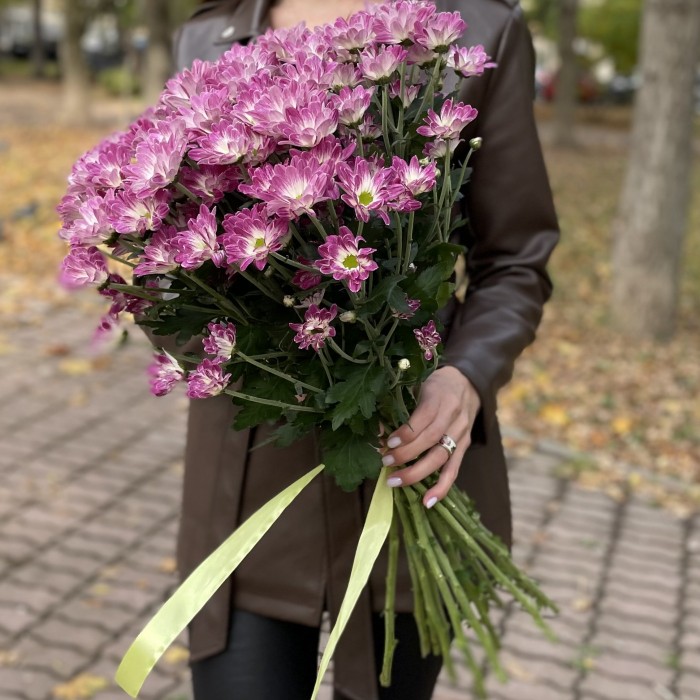 Хризантема кустовая бело-фиолетовая  Флейрстар