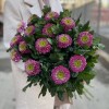 Хризантема темно-розовая Сувенир