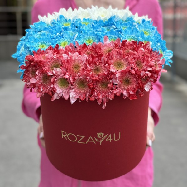 Хризантема в коробке Флаг России