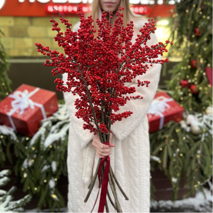 Илекс Красный