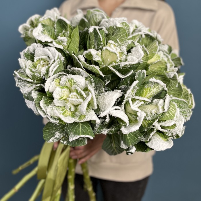 Интерьерный букет Брассика в снегу