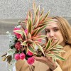 Интерьерный букет Яркие тропики