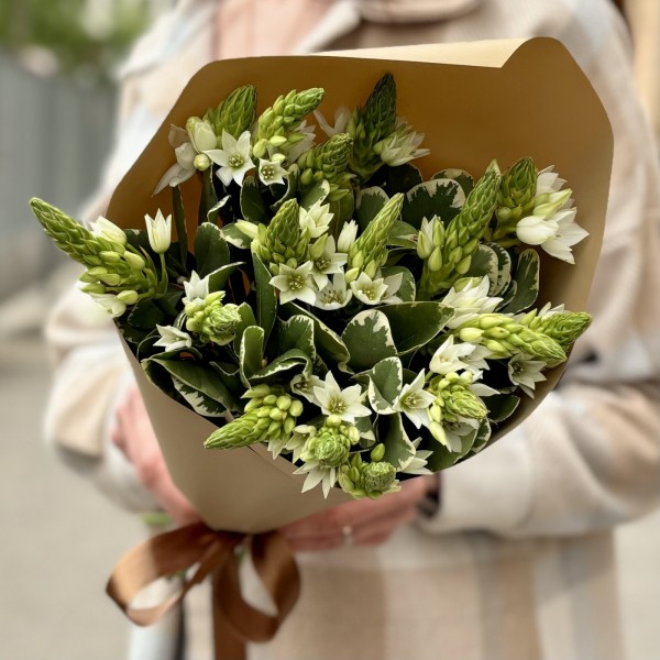 Интерьерный букет с орнитогалумом