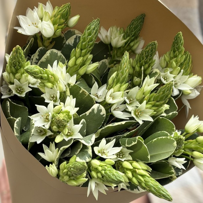 Интерьерный букет с орнитогалумом