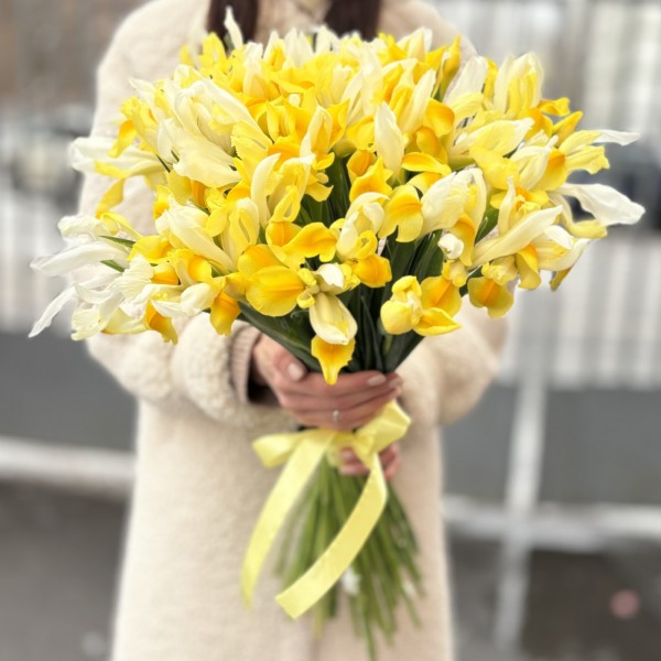 Ирис желтый