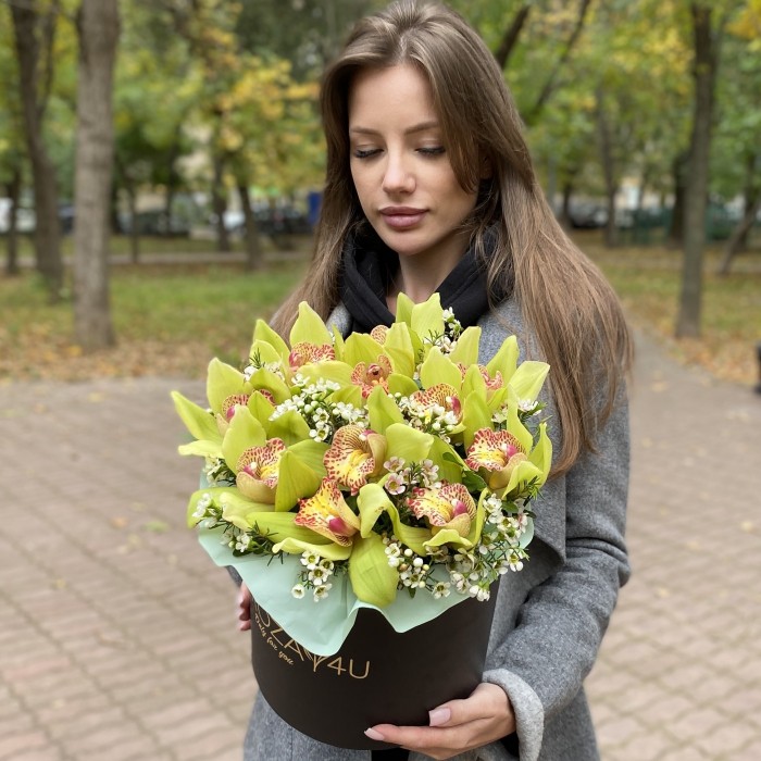 Изящные зеленые орхидеи в коробке