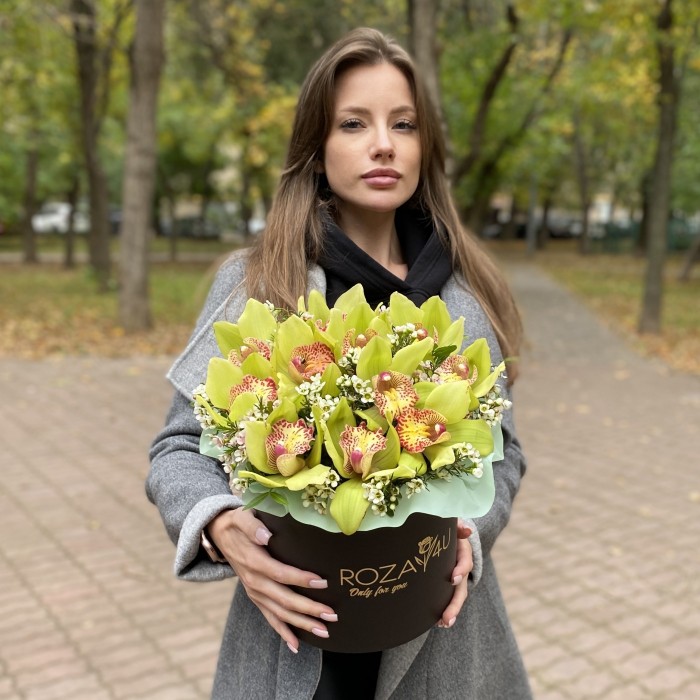 Изящные зеленые орхидеи в коробке