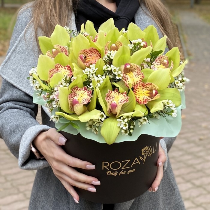 Изящные зеленые орхидеи в коробке