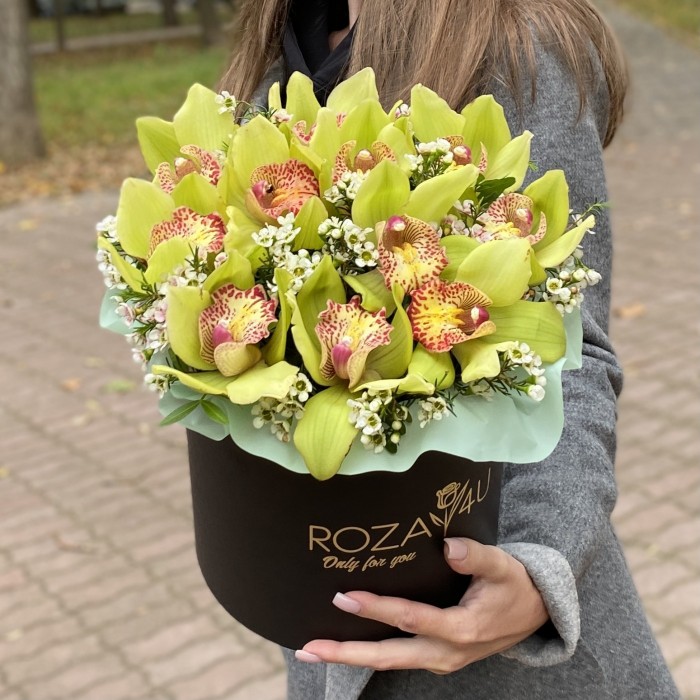 Изящные зеленые орхидеи в коробке