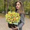 Изящные зеленые орхидеи в коробке