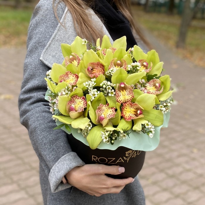 Изящные зеленые орхидеи в коробке