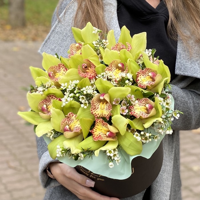 Изящные зеленые орхидеи в коробке