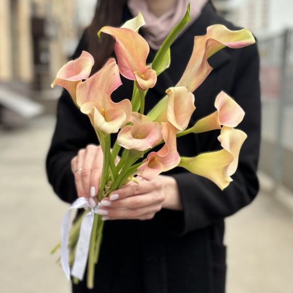 Калла бело-розовая