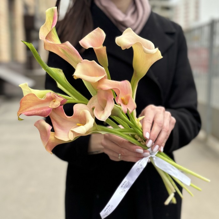 Калла бело-розовая