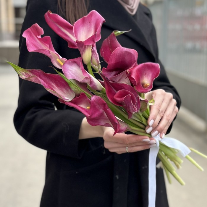 Калла малиновая