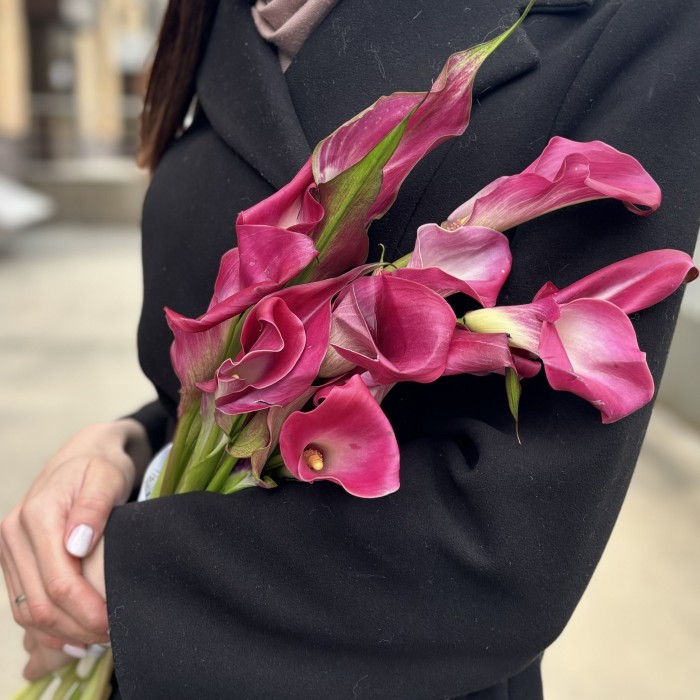 Калла малиновая