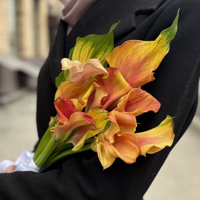 Калла оранжевая