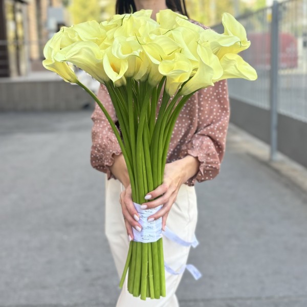 Каллы шампань