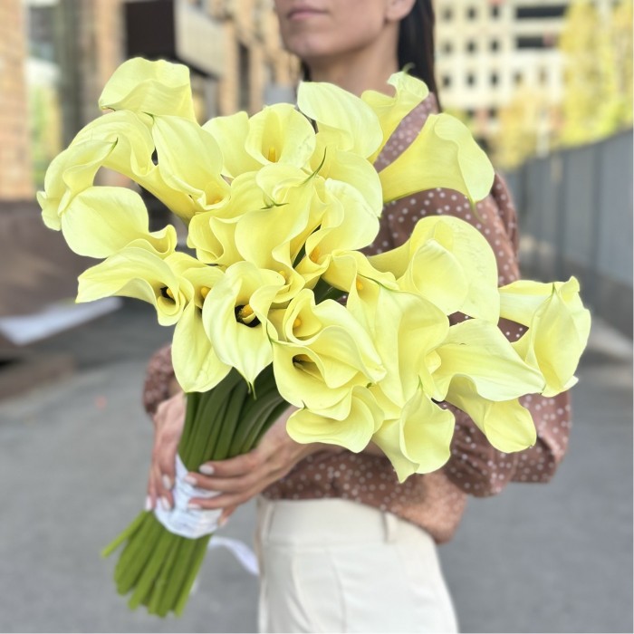 Каллы шампань