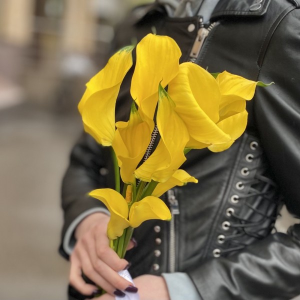 Калла желтая